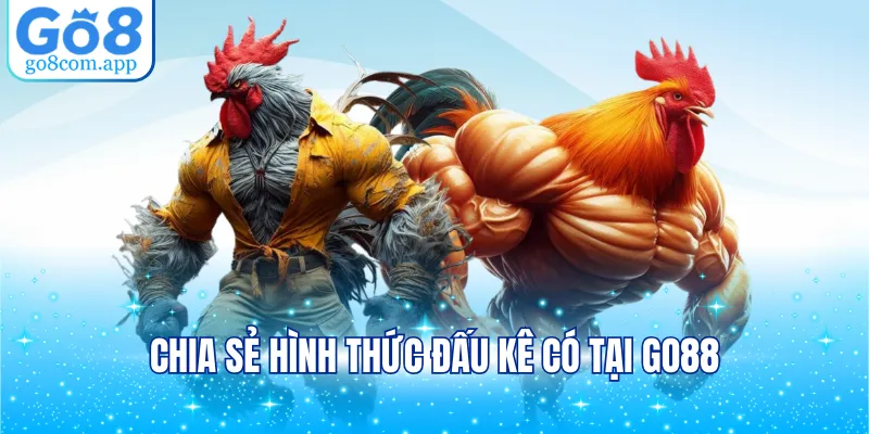 Chia sẻ hình thức đấu kê có tại GO8