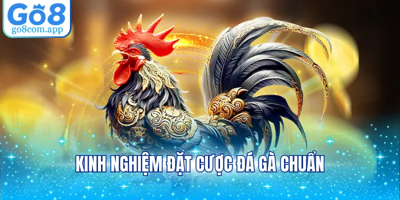 Kinh nghiệm đặt cược đá gà trực tiếp chuẩn