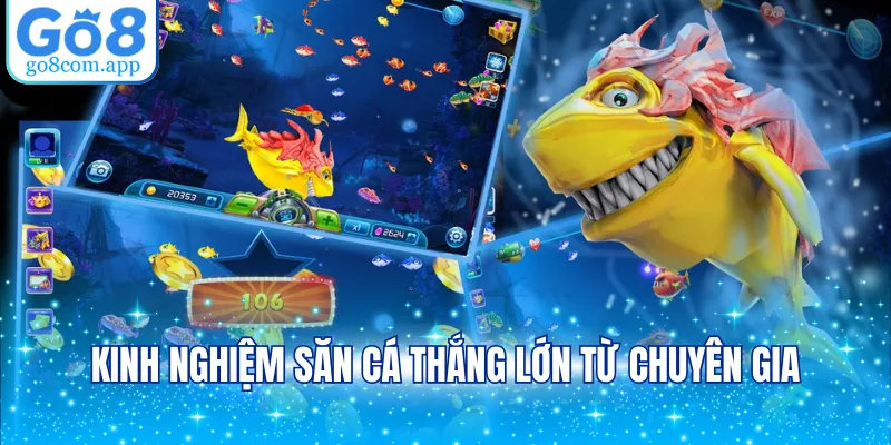 Kinh nghiệm săn cá thắng lớn từ chuyên gia