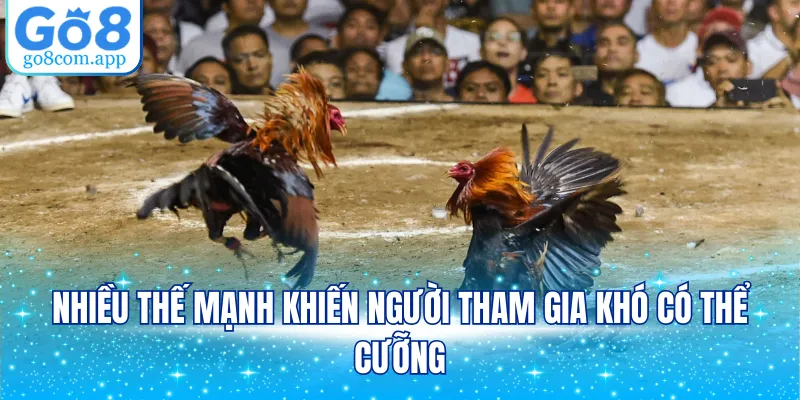 Nhiều thế mạnh khiến người tham gia khó có thể cưỡng
