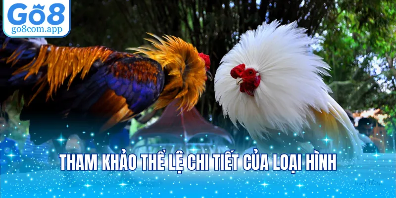 Tham khảo thể lệ chi tiết của loại hình