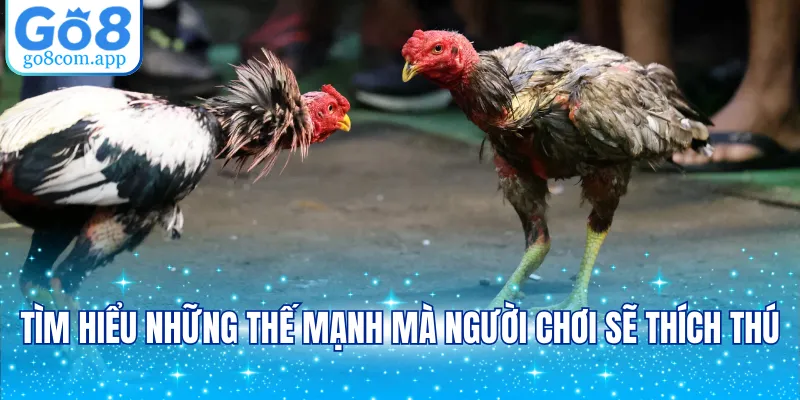 Tìm hiểu những thế mạnh mà người chơi sẽ thích thú