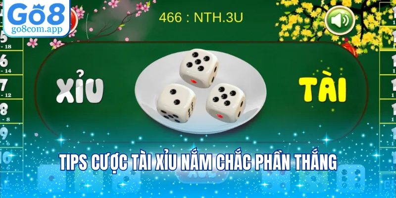 Tips cược tài xỉu nắm chắc phần thắng