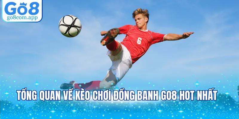 Tổng quan về kèo chơi đồng banh GO8 hot nhất